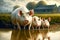 Family of pigs stands at edge of large puddle near barn at pig farm