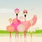 Family of pink flamingos