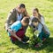 Family planting tree outdoors