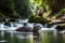 A family of playful otters frolicking in a clear, babbling mountain stream