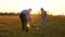 Family playing with younger baby with soccer ball in the park at sunset. Happy dad and child kick ball. happy family