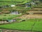 family of poor farmer lives in a loam hut in the terracced field