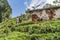 family of poor farmer lives in a loam hut in the terracced field