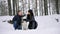 Family portrait of cute happy couple hugging with their alaskan malamute dog licking man`s face. Funny puppy wearing