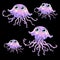 Family purple jellyfish