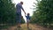 Family relations of father and son, daddy and child walk between rows of trees with a basket of fruit in backlight at