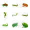 Family reptile icon set, cartoon style