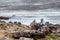 Family resting on the shores of the Atlantic Ocean