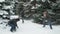 Family rests in winter forest, beautiful landscape with snowy fir trees