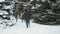 Family rests in winter forest, beautiful landscape with snowy fir trees