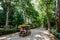 Family rides on a cycle tour bike on a path at Maria Luisa park in the summer