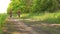 Family riding a bicycle