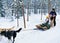 Family riding husky dogs sledge in Lapland in Finland