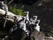 family, Ring-tailed Lemur, Lemur catta, sits on a trunk and observes the surroundings