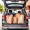 Family\\\'s shopping spree - Packed car trunk with bags and supplies at the mall parking lot