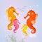 Family of seahorses