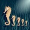 A family of seahorses vector illustration