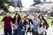 Family of seven in front of cherry blossom trees