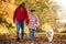 Family Shot With Father And Daughter Walking Pet Golden Retriever Dog In Autumn Countryside