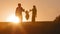 Family silhouettes father mother and daughter parents with child girls stand in sundown plays dad and mom with kid on