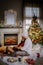 Family sitting on a floor. Couple near christmas tree, Christmas couple with present