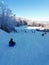 Family of skiers in winter. People skiing and sledging across mountains and snowy forest. Winter activities