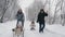 family sledding in winter. outdoor winter activity. Happy, laughing, playful family of 4 is enjoying of sledging their