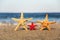 Family starfish on the beach