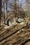 The Family of Stone Boulders