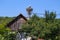 Family of storks living on a nest they made on top of an electricity pole in a rural area of Romania. Wild animals living between