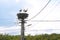 Family of storks living on a nest they made on top of an electricity pole in a rural area of Romania. Wild animals living between