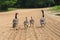 Family Stroll on the Beach