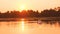 Family of swans floating on the morning sunrise