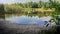 A family of swans swims from the shore of the lake.