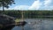 Family swimming in a forest lake in Finland