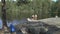 Family swimming in a forest lake in Finland