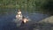 Family swimming in a forest lake in Finland