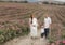 A family of three walk through a wild rose field