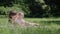 Family Time. Mother And Daughter Resting On Blanket At Park