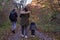 Family with toddler hiking in the woods