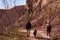 Family with toddler hiking in the woods