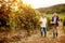 Family tradition happy father and son harvesting grapes