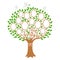 Family tree generation, genealogical tree with photo place