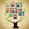 Family tree with portraits of family members. A real family tree with photos.