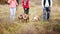 Family of tribe man walking on nature on the habits of the breeds of dogs Staffordshire terrier