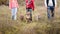 Family of tribe man walking on nature on the habits of the breeds of dogs Staffordshire terrier