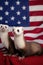 A family of US patriotic ferrets sitting on top of american flag. AI generative image.