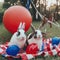 A family of US patriotic rabbits celebrating the Independence Day at picnic. AI generative image.