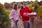 Family vineyard. Young couple harvesting grapes on vineyard