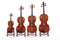 Family of Violins